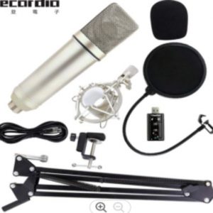 GAM-U87P Professional Studio Condenser Microphone